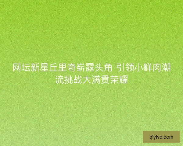 网坛新星丘里奇崭露头角 引领小鲜肉潮流挑战大满贯荣耀